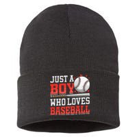 Just A Who Loves Baseball American Sport Sustainable Knit Beanie