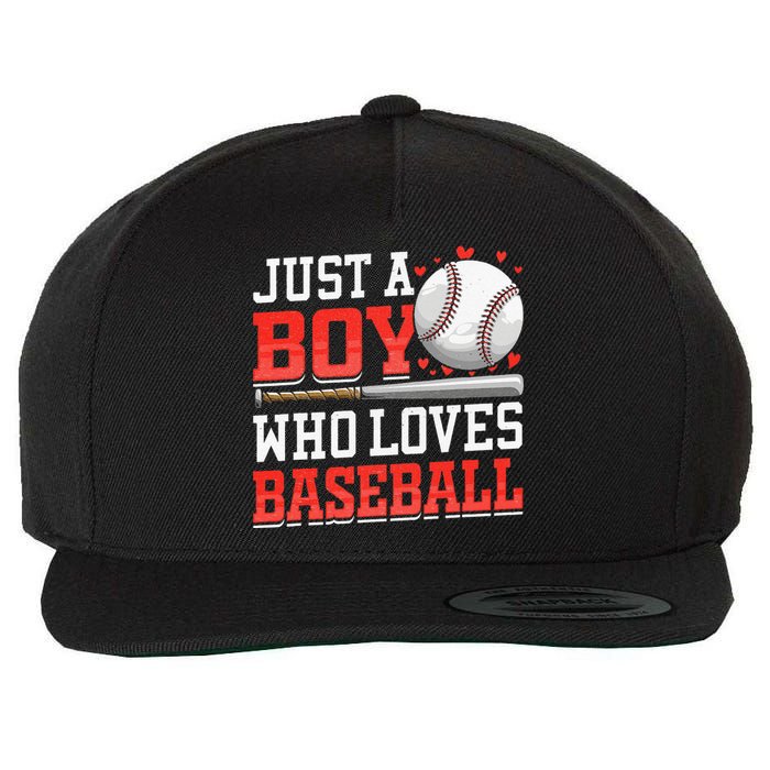 Just A Who Loves Baseball American Sport Wool Snapback Cap