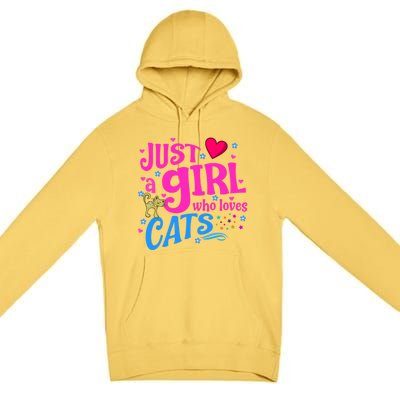 Just A Who Loves Cats Gift Premium Pullover Hoodie