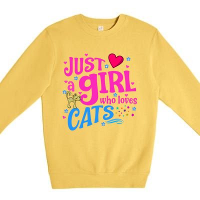 Just A Who Loves Cats Gift Premium Crewneck Sweatshirt