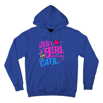 Just A Who Loves Cats Gift Hoodie