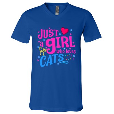 Just A Who Loves Cats Gift V-Neck T-Shirt