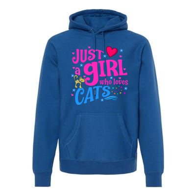 Just A Who Loves Cats Gift Premium Hoodie