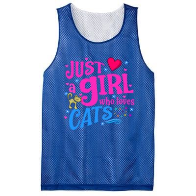 Just A Who Loves Cats Gift Mesh Reversible Basketball Jersey Tank