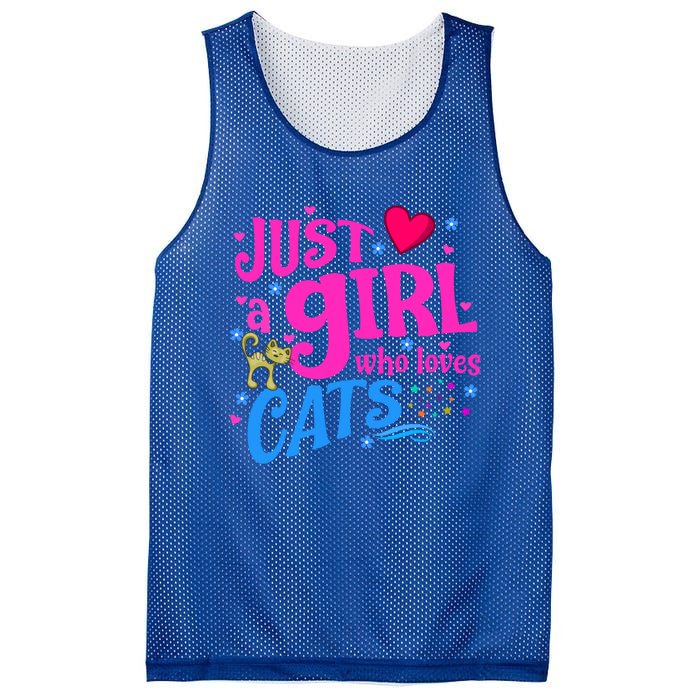 Just A Who Loves Cats Gift Mesh Reversible Basketball Jersey Tank