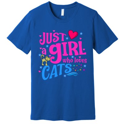 Just A Who Loves Cats Gift Premium T-Shirt