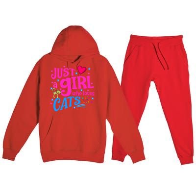 Just A Who Loves Cats Gift Premium Hooded Sweatsuit Set