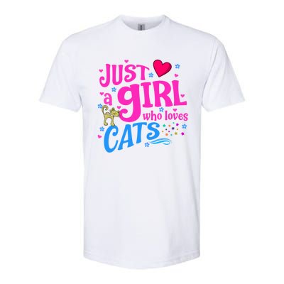 Just A Who Loves Cats Gift Softstyle® CVC T-Shirt