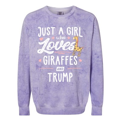 Just A Who Loves Giraffes And Trump Giraffe Gift Colorblast Crewneck Sweatshirt