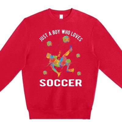 Just A  Who Loves Soccer Funny Premium Crewneck Sweatshirt