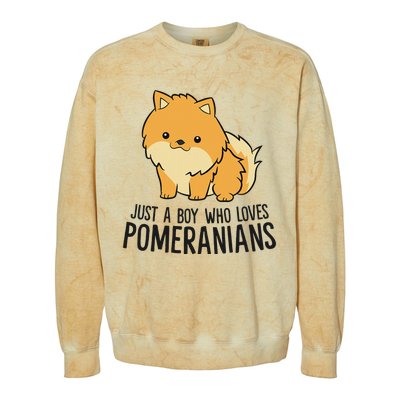 Just a Who Loves Pomeranians Cute Pomeranian Dog Colorblast Crewneck Sweatshirt