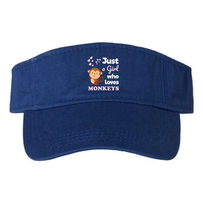 Just A Who Loves Monkeys Monkey Gift Valucap Bio-Washed Visor