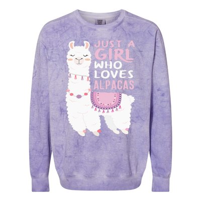 Just A Who Loves Alpacas Cute Alpaca Colorblast Crewneck Sweatshirt