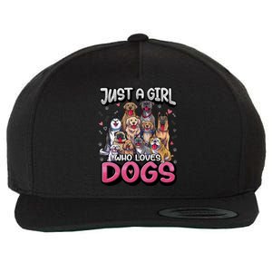 Just A Who Loves Dogs Cool Gift Funny Puppy Dog Lover Gift Wool Snapback Cap