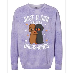 Just a who loves Dachshunds Dog Lover Colorblast Crewneck Sweatshirt