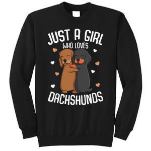 Just a who loves Dachshunds Dog Lover Sweatshirt