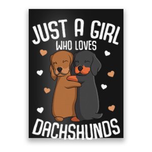 Just a who loves Dachshunds Dog Lover Poster