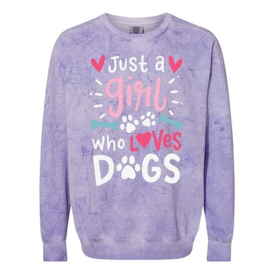 Just A Who Loves Dogs Funny Gift For Dog Lovers Colorblast Crewneck Sweatshirt