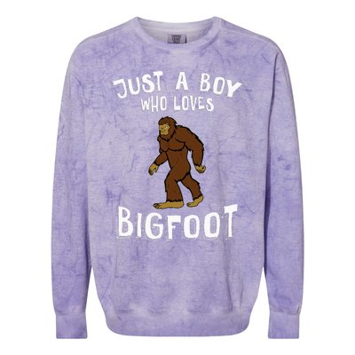 Just A Who Loves Bigfoot Hunter Animal Lover Camping Colorblast Crewneck Sweatshirt