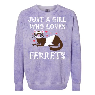 Just A Who Loves Ferrets Zoogoer Wildlife Animal Cool Gift Colorblast Crewneck Sweatshirt