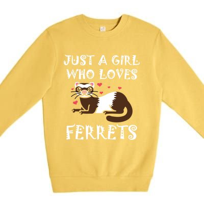 Just A Who Loves Ferrets Zoogoer Wildlife Animal Cool Gift Premium Crewneck Sweatshirt