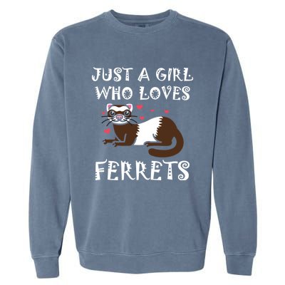 Just A Who Loves Ferrets Zoogoer Wildlife Animal Cool Gift Garment-Dyed Sweatshirt