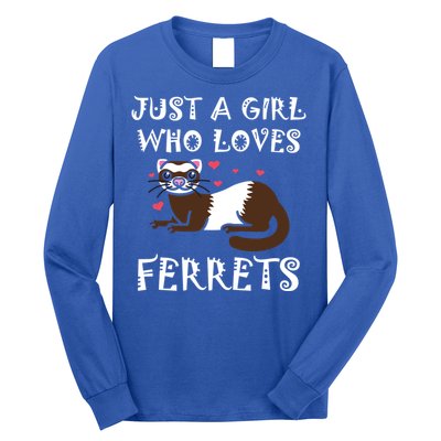 Just A Who Loves Ferrets Zoogoer Wildlife Animal Cool Gift Long Sleeve Shirt