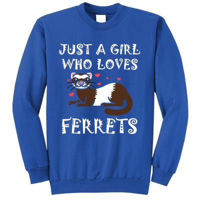 Just A Who Loves Ferrets Zoogoer Wildlife Animal Cool Gift Sweatshirt