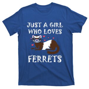 Just A Who Loves Ferrets Zoogoer Wildlife Animal Cool Gift T-Shirt