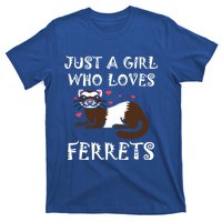 Just A Who Loves Ferrets Zoogoer Wildlife Animal Cool Gift T-Shirt