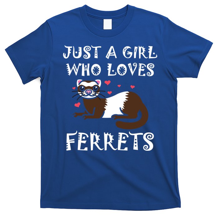 Just A Who Loves Ferrets Zoogoer Wildlife Animal Cool Gift T-Shirt