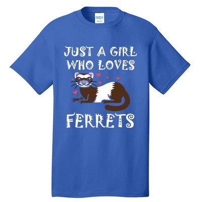 Just A Who Loves Ferrets Zoogoer Wildlife Animal Cool Gift Tall T-Shirt