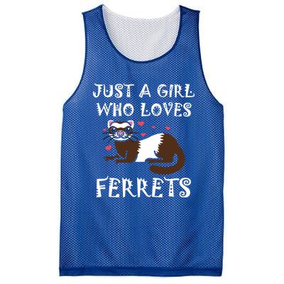 Just A Who Loves Ferrets Zoogoer Wildlife Animal Cool Gift Mesh Reversible Basketball Jersey Tank