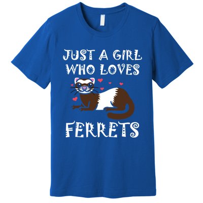 Just A Who Loves Ferrets Zoogoer Wildlife Animal Cool Gift Premium T-Shirt