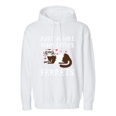 Just A Who Loves Ferrets Zoogoer Wildlife Animal Cool Gift Garment-Dyed Fleece Hoodie