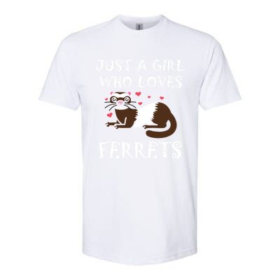 Just A Who Loves Ferrets Zoogoer Wildlife Animal Cool Gift Softstyle CVC T-Shirt