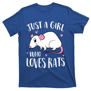 Just A Who Loves Rats Funny Rat Gift T-Shirt