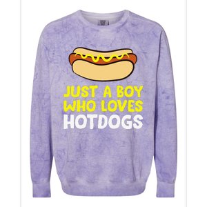 Just A Who Loves Hot Dogs Funny Hot Dog Colorblast Crewneck Sweatshirt