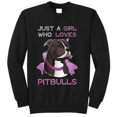 Just A Who Loves Pitbulls Funny Pitbull Dog Owner Quote Sweatshirt