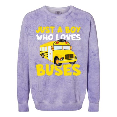 Just a  who loves Buses Colorblast Crewneck Sweatshirt