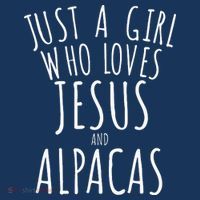 Just a who Loves Jesus and Alpacas Funny 16 in Basic Backpack