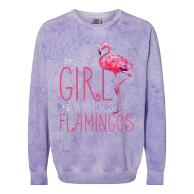 Just A Who Loves Flamingos Colorblast Crewneck Sweatshirt