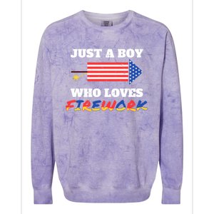 Just A Who Loves Firework Firecrackers 4th Of July Gift Colorblast Crewneck Sweatshirt