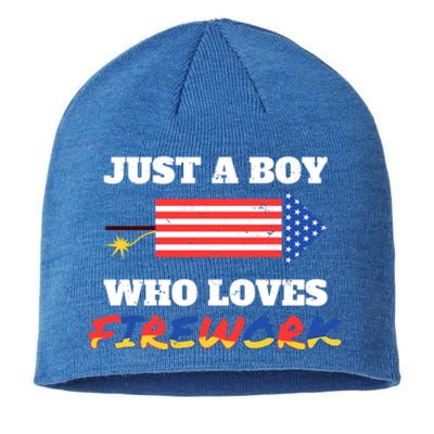 Just A Who Loves Firework Firecrackers 4th Of July Gift Sustainable Beanie