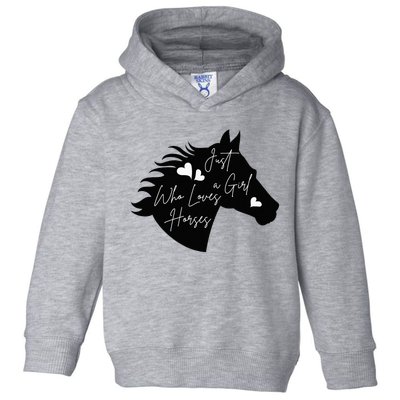 Just A Who Loves Horses Horse Gifts For Horse Toddler Hoodie