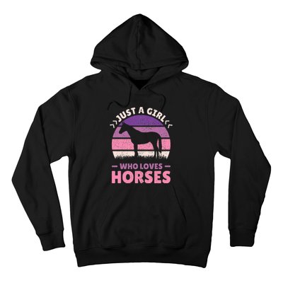 Just A Who Loves Horses  Horse Stuff Hoodie