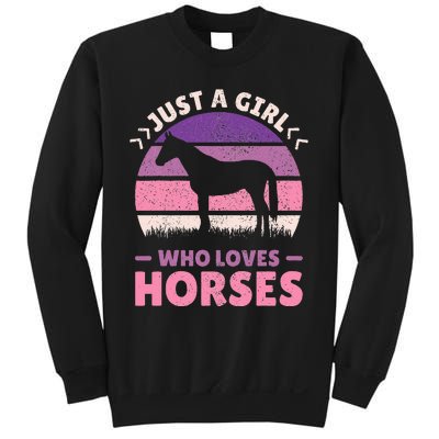 Just A Who Loves Horses  Horse Stuff Sweatshirt