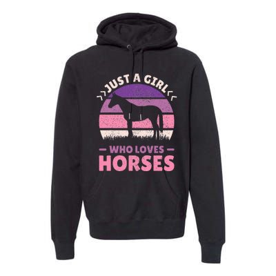 Just A Who Loves Horses  Horse Stuff Premium Hoodie