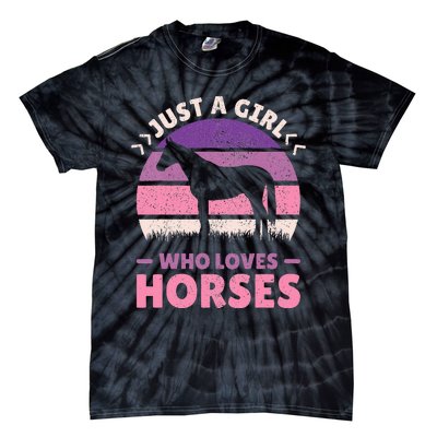 Just A Who Loves Horses  Horse Stuff Tie-Dye T-Shirt