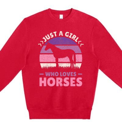 Just A Who Loves Horses  Horse Stuff Premium Crewneck Sweatshirt